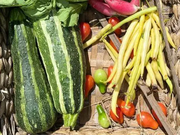 Cagette remplie de courgettes, tomates et radis 
