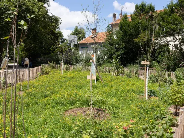 Un massif fruitier parsemé de fleurs sauvages pour favoriser la biodiversité du jardin et la perméabilité des sols