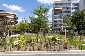Place Lehu après