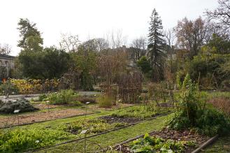 Plantes, arbustes et arbres du jardin botanique du jardin public