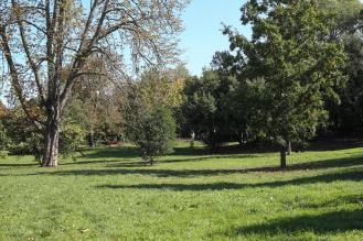 Un parc verdoyant avec des arbres, de l’herbe bien entretenue et des bancs en arrière-plan sous un ciel bleu clair.