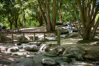 Un ruisseau traverse une forêt ombragée, bordé de rochers et d'un petit pont en bois.