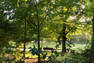 Des arbres en premiers plan, une personne assise sur un banc au bord de la pelouse d'un jardin