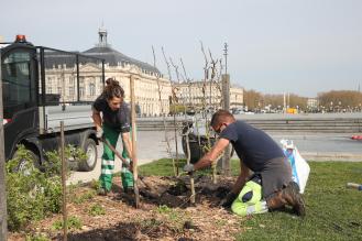 Photo : Au jardin des Lumières sur les quais rive gauche, 255 m² de buttes auto fertiles sont accessibles à côté du miroir d’eau. © T. Sanson / Ville de Bordeaux