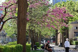Photo des visiteurs se baladent dans le jardin de la Mairie sous une végétation en pleine éclosion.