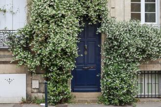 Photo d'une façade d'une échoppe végétalisée dans Bordeaux