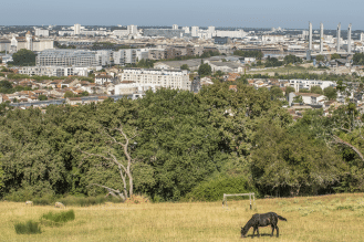 Vue du quartier Brazza et du pont Chaban Delmas depuis les hauts de Garonne.