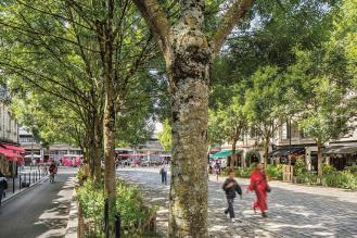 Des personnes marchent sur l'allée centrale de la place des Capucins bordée d'arbre et de végétation