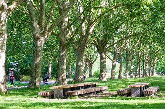 Des tables de pique-nique à côté d'une allée bordée d'arbres sur laquelle des personnes se promènent