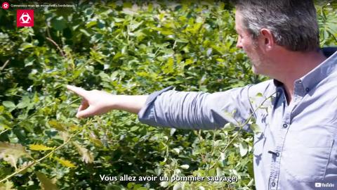 Un plan fixe de la vidéo sur les micro-forêts