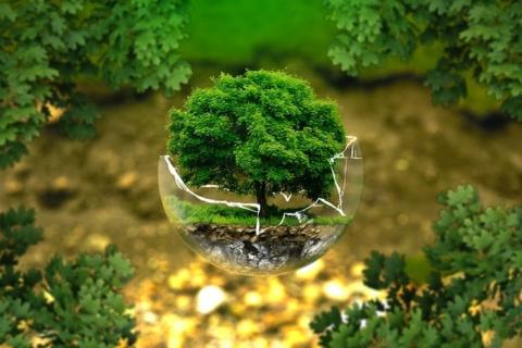 Photo :  © Pixabay (licence de contenu)