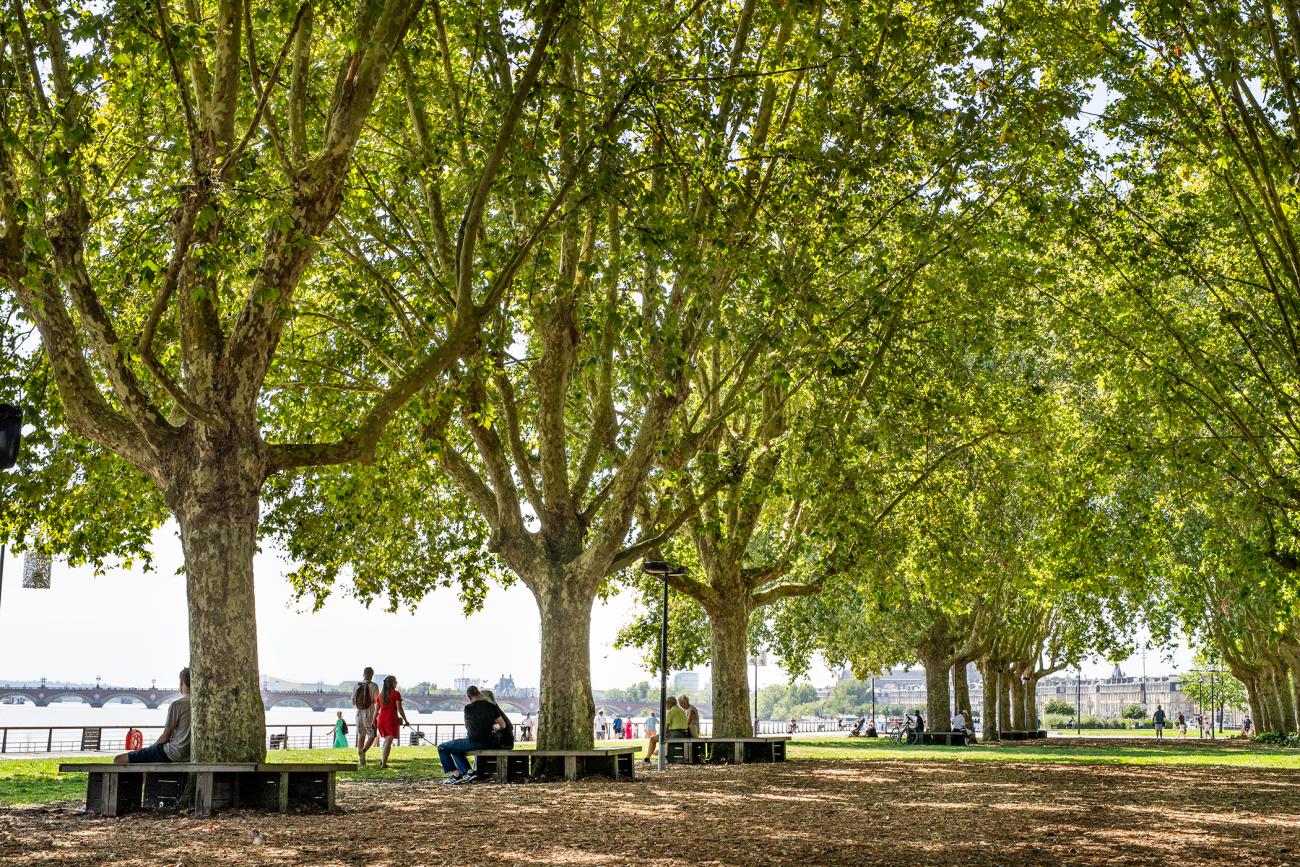 Des promeneurs sous les arbres de la prairie au Girondins et sur les quais de Garonne 