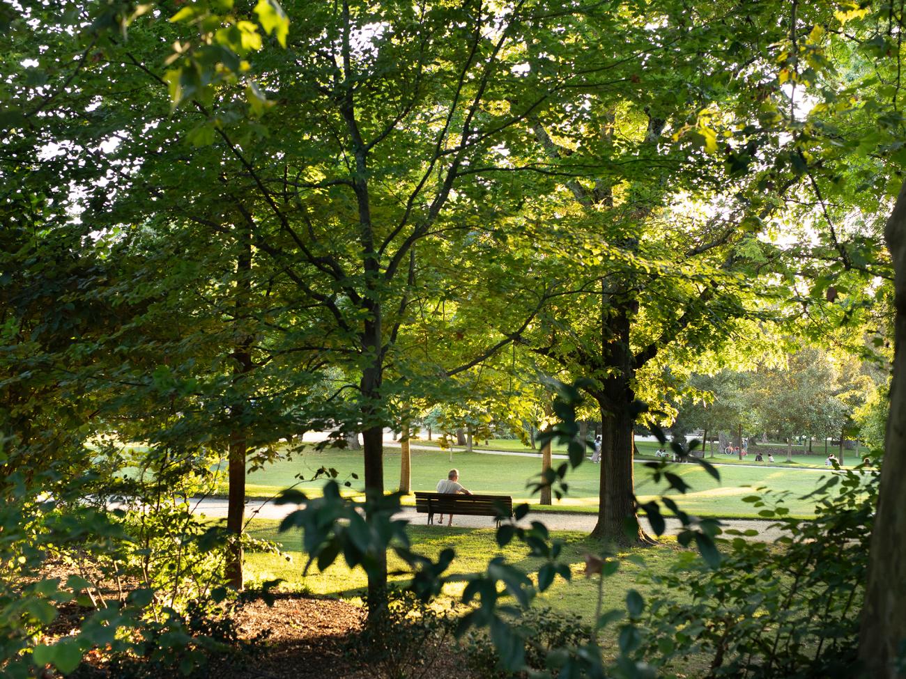 Des arbres en premiers plan, une personne assise sur un banc au bord de la pelouse d'un jardin