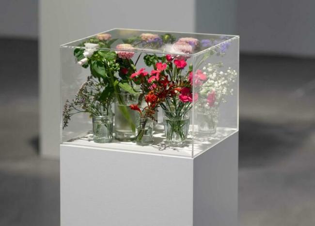 Photo : © Jesse Darling, "Untitled (Still life)", 2018 - ongoing, 2018. Collection Capc Musée d’art contemporain de Bordeaux. Don collection privée en 2024.