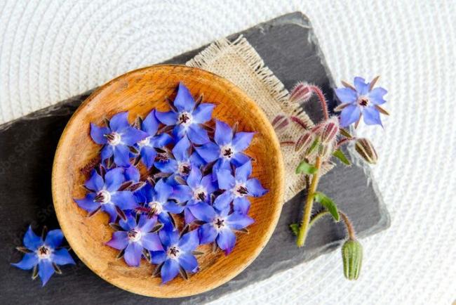 Photo : © Adobe Stock