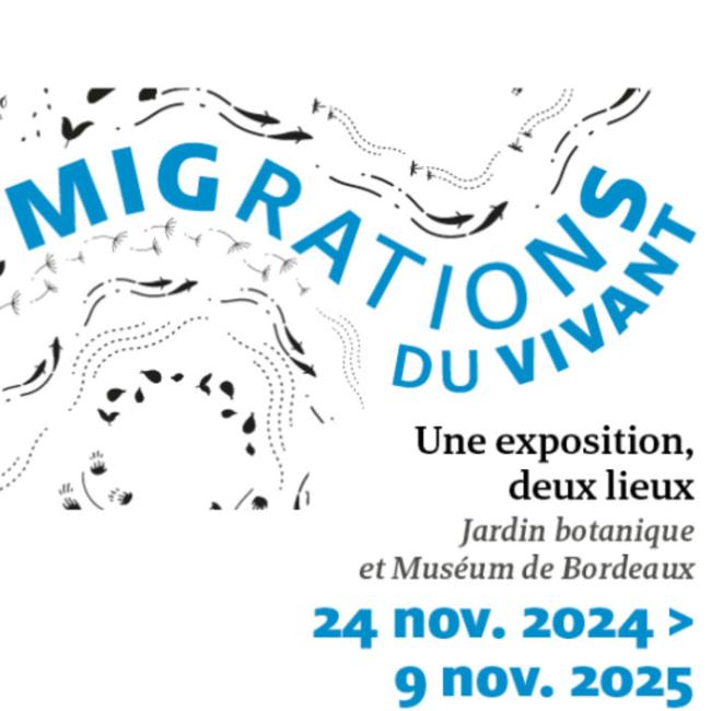 Photo : © Visuel de l'exposition MIGRATIONS DU VIVANTS du Jardin Botanique et Museum de Bordeaux
