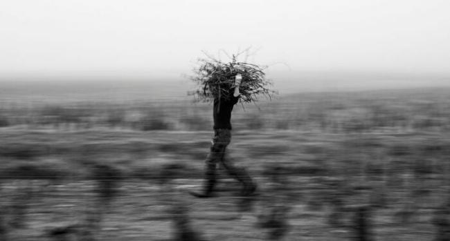 Photo : © © Michel Joly